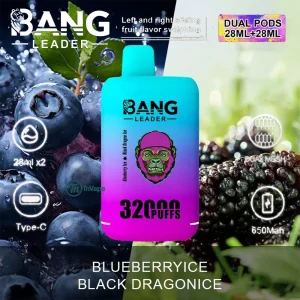 Bang Leader 32K – 32,000 Puffs, Dual Pods, Dual Mesh, Flavor Switch, Type-C