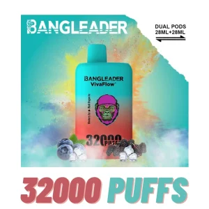 Bang Leader 32K Puff Double Flavour Vape 2 In 1 Wholesale 32000 Puffs