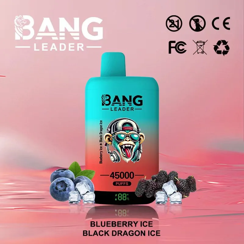 Bang Leader 45k-45,000 Puffs, Dual Mesh Coil | 650mAh | Dual Flavors