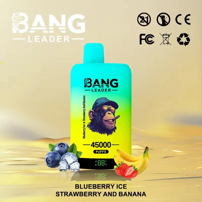 Bang Leader 45k-45,000 Puffs, Dual Mesh Coil | 650mAh | Dual Flavors - Image 2