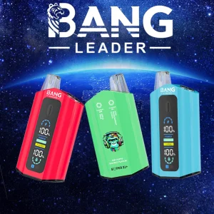 Bang Leader 50000 – 50000 Puffs Power Meets Flavor|Dual Mesh Coil