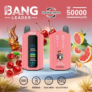 Bang Leader 50k Wholesale Double Flavors Disposable Vape 50000 Puff