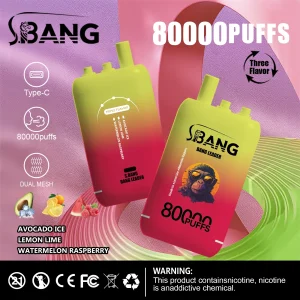 Bang Leader 80000 – Ultra Long-Lasting 80,000 Puffs, Dual Mesh, 3 Flavors, Type-C, 0–5% Nicotine