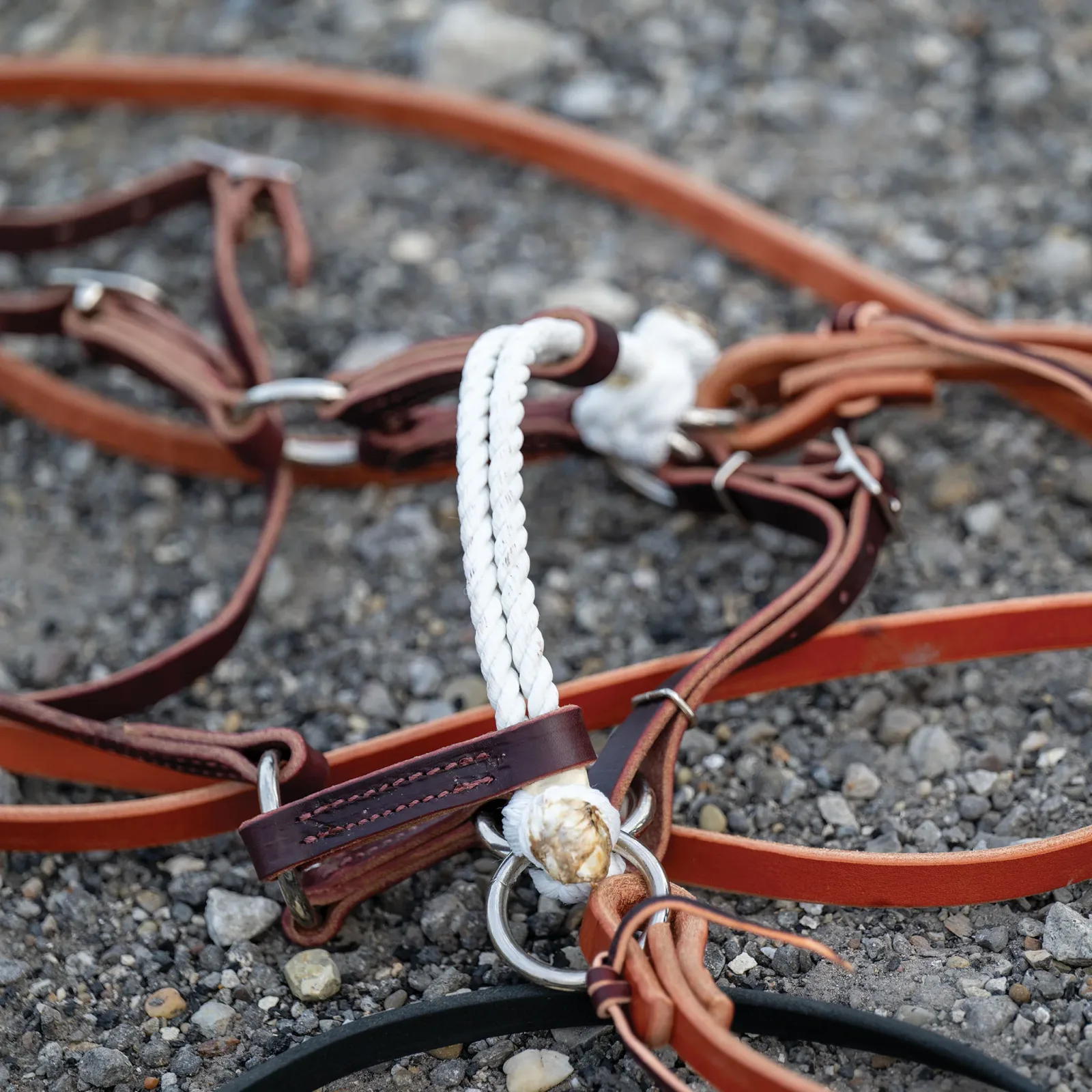 Deluxe Latigo Leather Side Pull, Double Rope - Image 2