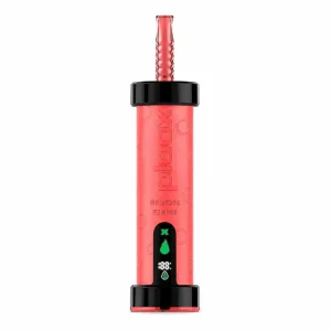 Fiji Island - Ploox Molasses 75k Disposable E-Hookah