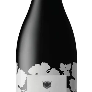 Protea Shiraz 2023